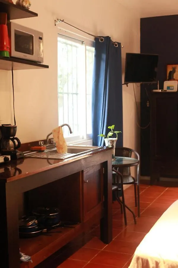 Hotel Bea Rooms And Studios Cozumel