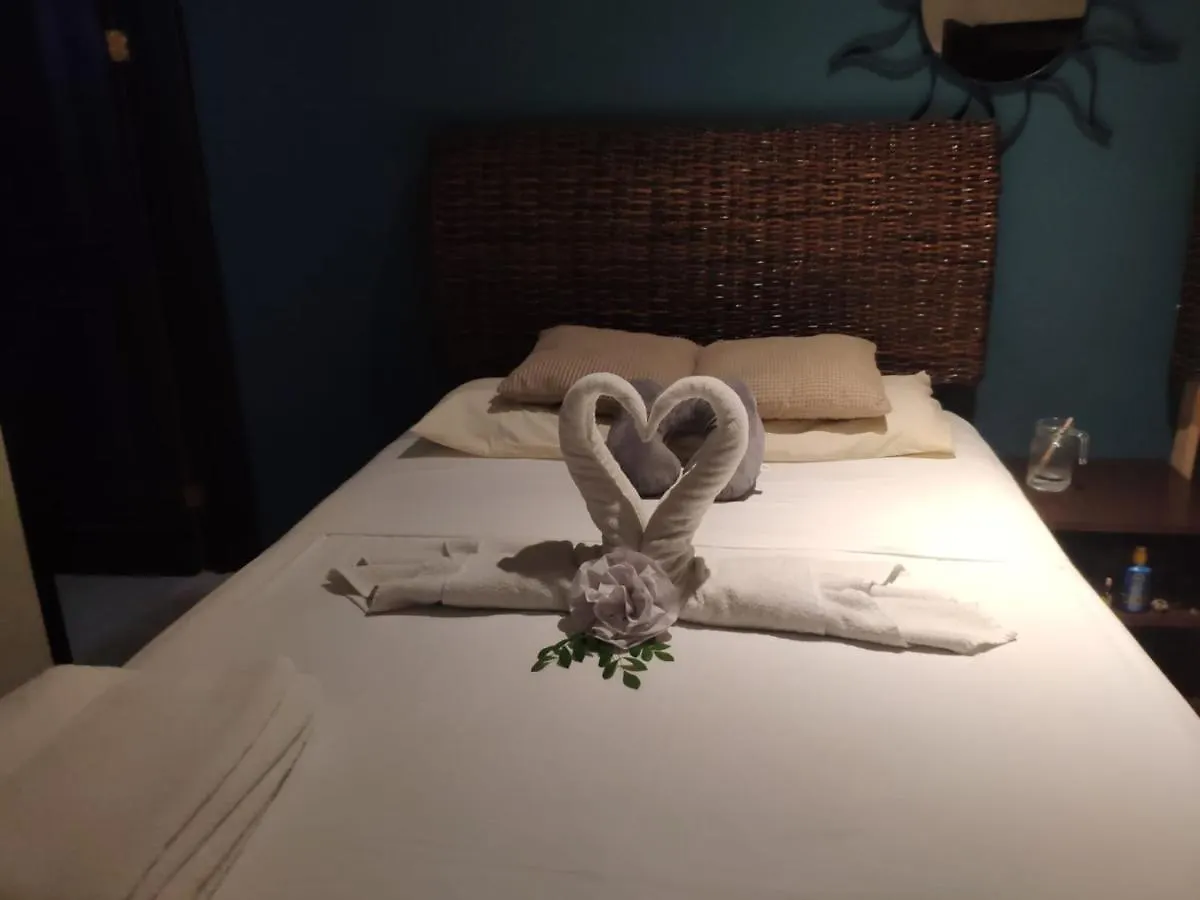 Bea Rooms And Studios Cozumel Hotel