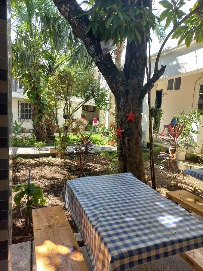 Hotel Bea Rooms And Studios Cozumel
